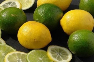 صادرات لیموشیرین و لیموترش ممنوع شد