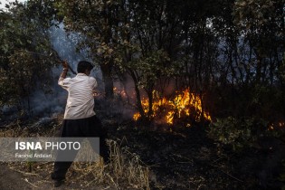 بازگشت آتش به جنگل‌ها/ عدم تامین هلیکوپتر برای اطفای حریق
