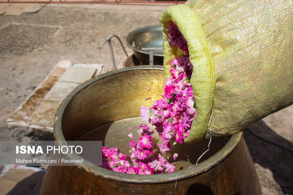 تهیه گلاب به شیوه سنتی و با ابزار سنتی در خانواده میررحیمی در قزوین