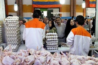 قیمت مرغ همچنان در اوج/  کاهش قیمت ها از نیمه مرداد