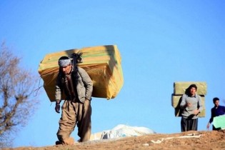ایجاد ۵۲۰۰ شغل برکت برای کولبران استان کردستان تا پایان سال