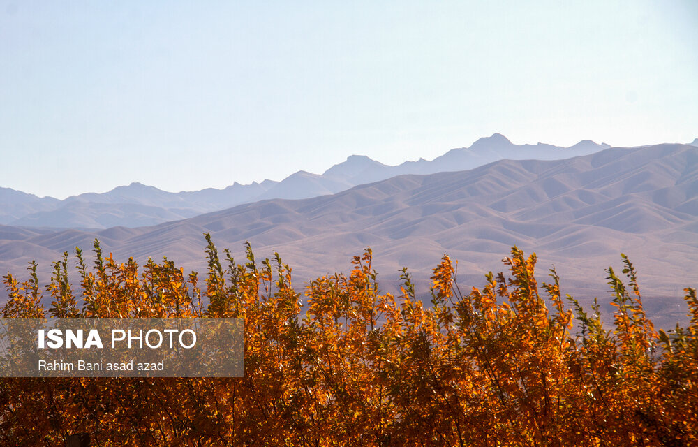 پاییز رنگارنگ در روستای «سکنج» کرمان