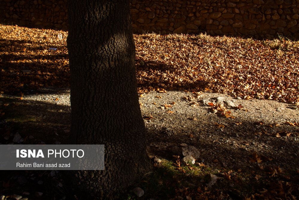 پاییز رنگارنگ در روستای «سکنج» کرمان