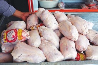 وزارت جهادکشاورزی مسئول تولید و تنظیم بازار مرغ است