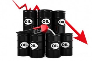 ترمز رشد ۷ هفته‌ای قیمت نفت کشیده شد