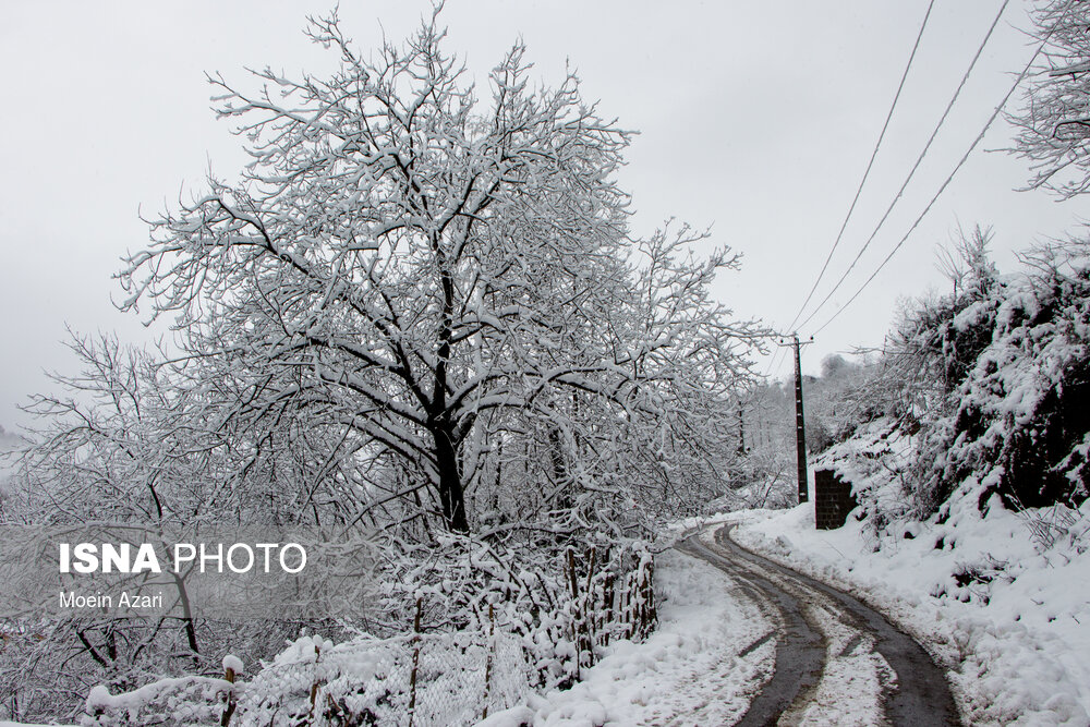 بارش برف در گیلان؛ روستای «تابستان نشین»