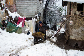 بارش برف در گیلان؛ روستای «تابستان نشین»