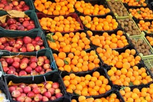 عرضه میوه به قیمت مناسب در ۲۵۳ میدان میوه و تره بار تهران