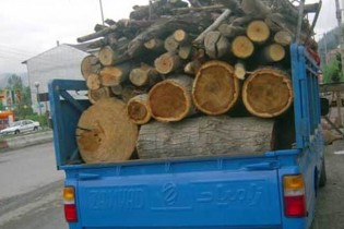 راه‌اندازی سامانه چوب در کشور/پلاک خودروهای غیرمجاز حامل چوب را گزارش دهید
