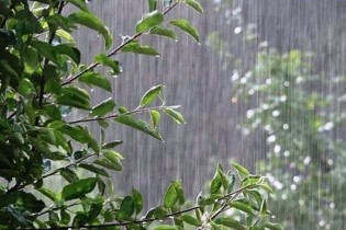 بارش باران و کاهش نسبی دما در ۷ استان
