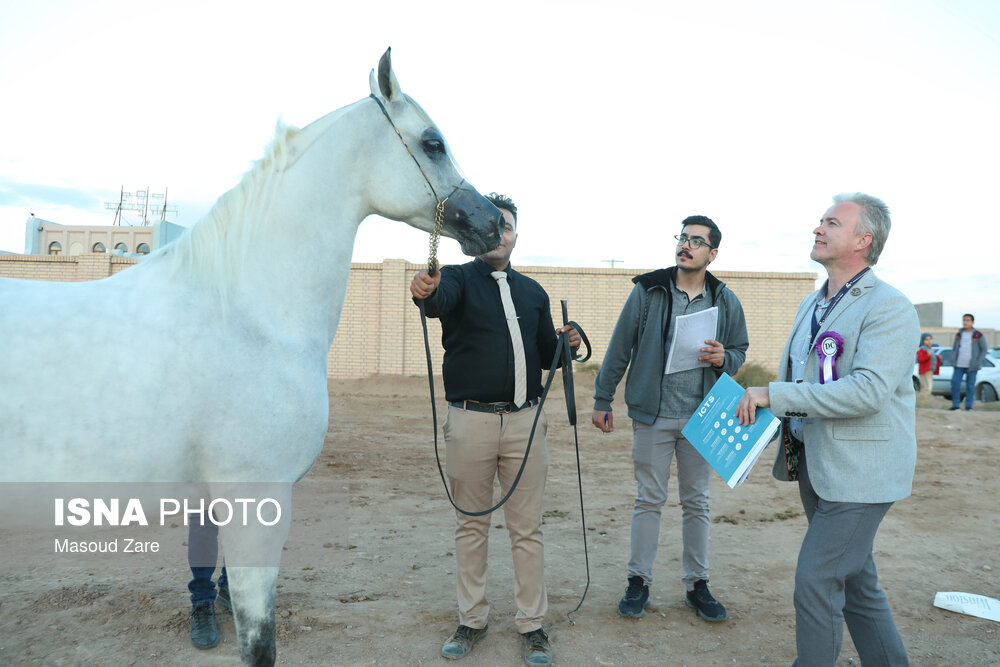 سی و چهارمین دور جشنواره  زیبایی اسب