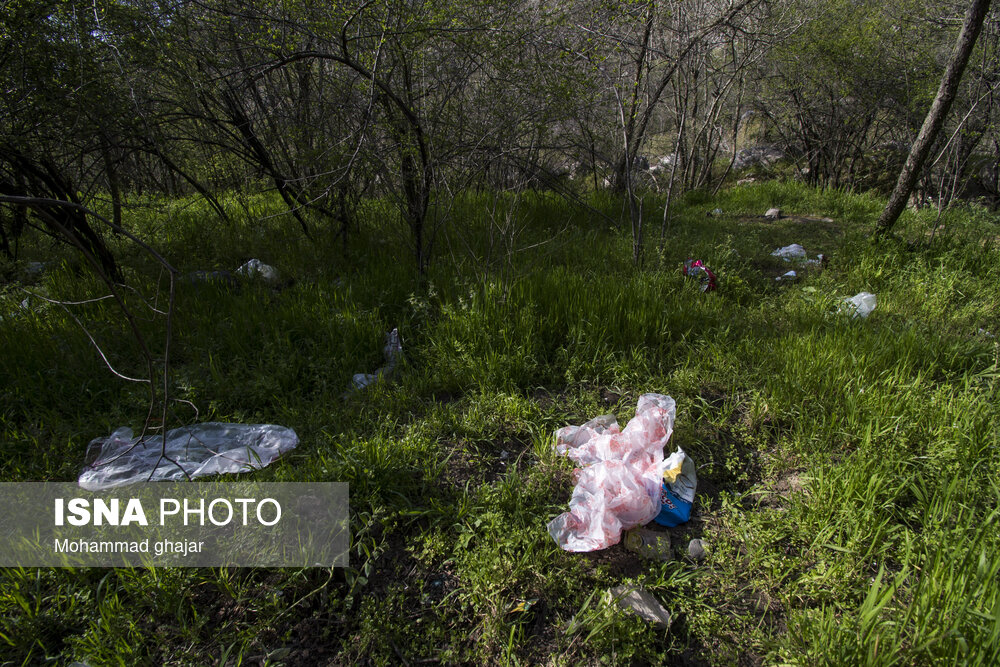 رهاسازی زباله توسط مسافران در ایام نوروز - پارک ملی گلستان