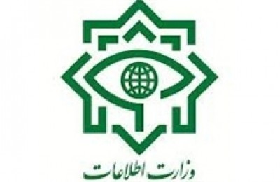 کشف و شناسایی پیکر شهید دانایی‌فر توسط سربازان گمنام امام زمان(عج)