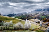 تصاویر/ برندگان جایزه عکس نشنال‌جئوگرافی  <img src="/images/picture_icon.gif" width="16" height="13" border="0" align="top">