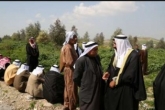 ۷۰ خانوار عراقی از محاصره داعش رهایی یافتند