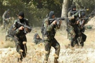 در مجموع 109 تروریست  در الجزایر کشته شدند