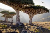 تصاویر/ مکان های جالب و دیدنی بر روی زمین تصاویر/ مکان های جالب و دیدنی بر روی زمین