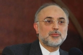 دیدار صالحی با رئیس آژانس اتمی چین