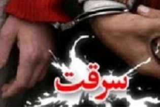 شگرد جدید سارقان در شمال تهران؛ هدف تازه: پنل آیفون‌های تصویری! + فیلم