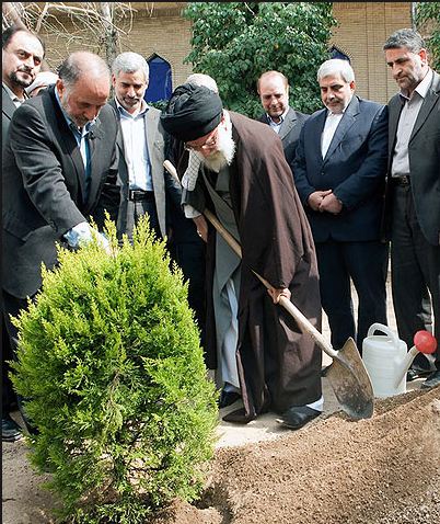درخواست اینترنتی کاشت نهال