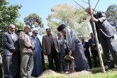تصاویر/کاشت نهال توسط رهبر انقلاب  <img src="/images/picture_icon.gif" width="16" height="13" border="0" align="top">