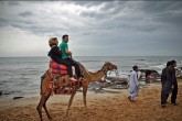 تصاویر/ مسافران نوروزی در چابهار  <img src="/images/picture_icon.gif" width="16" height="13" border="0" align="top">