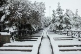 تصاویر/بارش برف سنگین در تبریز و اردبیل تصاویر/بارش برف سنگین در تبریز و اردبیل