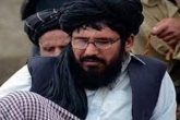 سرکرده طالبان در حملۀ هوایی امریکا کشته شد