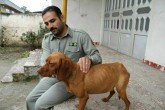 چرا در زمینه حمایت از حیوانات و حیوان آزاری با خلاء قانونی مواجه هستیم؟  <img src="/images/video_icon.gif" width="16" height="13" border="0" align="top">