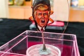 تصاویر/ نقاشی چهره ترامپ بر روی سوسک