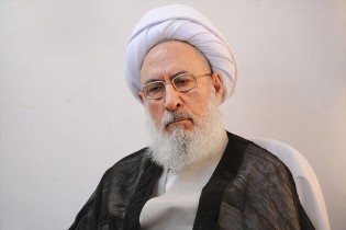 شبستری: دولت تعداد کارکنان خود را تعدیل کند