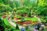 تصاویر/ مجموعه باغ گل های زیبا در کانادا  <img src="/images/picture_icon.gif" width="16" height="13" border="0" align="top">