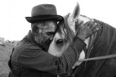 تصاویر/ اسب، زندگی ، عشق