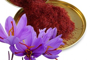 آمریکا مشتری بزرگ زعفران ایران خواهد شد