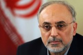 صالحی: منصف باشیم، برجام راه‌ها را باز کرد
