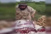 فیلم/ پس از زرافه، فیل می‌خورم!  <img src="/images/video_icon.gif" width="16" height="13" border="0" align="top">
