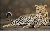 تصاویر/ آیا به نظر شما این عکس ها واقعی است؟  <img src="/images/picture_icon.gif" width="16" height="13" border="0" align="top">