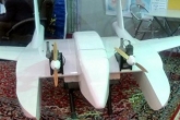 اولین پهپاد انتحاری نیروی دریایی سپاه رونمایی شد