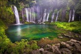 تصاویر/ زیباترین عکسها در مسابقه نشنال جئوگرافیک  <img src="/images/picture_icon.gif" width="16" height="13" border="0" align="top">