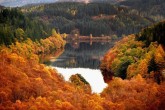 تصاویر/ طبیعت زیبای پاییزی در سراسر جهان  <img src="/images/picture_icon.gif" width="16" height="13" border="0" align="top">