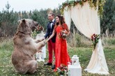 تصاویر/ برگزاری مراسم عروسی با حضور یک خرس