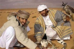 شاهزاده قطری مجوز شکار پرندگان کمیاب را گرفت
