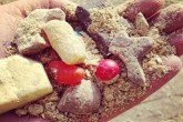 تصاویر/ تغییر مزه گوشت گاوها با خوردن شکلات  <img src="/images/picture_icon.gif" width="16" height="13" border="0" align="top">