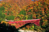 تصاویر/ پاییز زیبا در ژاپن  <img src="/images/picture_icon.gif" width="16" height="13" border="0" align="top">