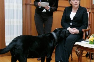 سگ سیاه پوتین ویژگی های ضد تروریستی خاصی دارد