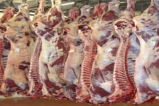 قیمت گوشت قرمز در روزنامه ‌ها گران شد نه در بازار