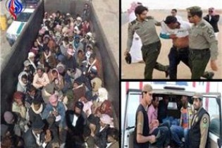 روزنامه سعودي کارگران خارجي را به موش تشبيه کرد