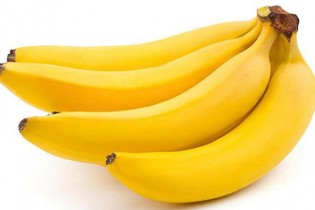 پشت‌پرده توقیف محموله ۱۵۰تنی موز قاچاق