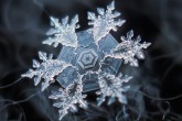 تصاویر/ نمای نزدیک و بسیار زیبا از دانه های برف