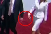 فیلم /وقتی ملانیا دست ترامپ را پس زد  <img src="/images/video_icon.gif" width="16" height="13" border="0" align="top">